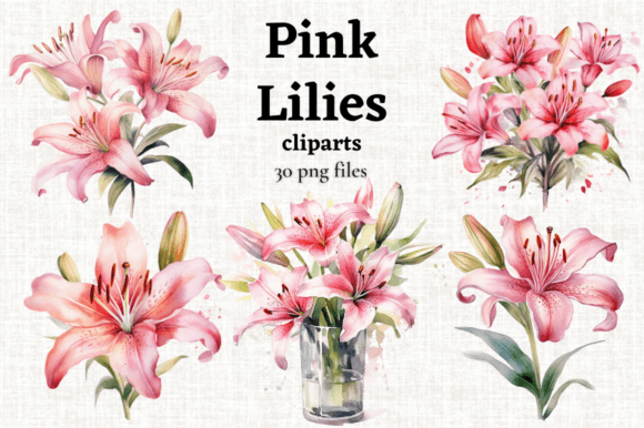 Download Pink Tiger Lily Clipart, Pink Lilies PNG - Lilies Collection