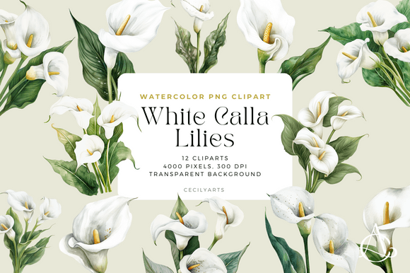 Download White Calla Lilies Cliparts - Lilies Collection