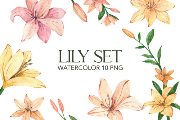 Download Lilies Watercolor Clipart PNG - Lilies Collection